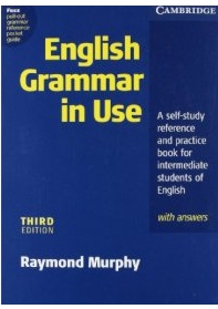 Видео уроки по английскому языку Raymond Murphy синий учебник для продолжающих уровень b1-b2